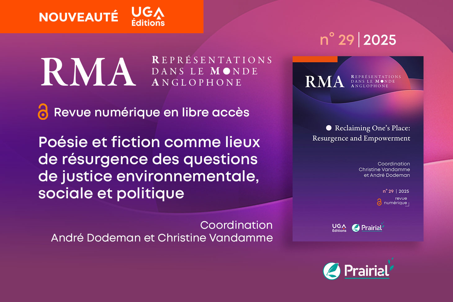 RMA n° 29 / 2025